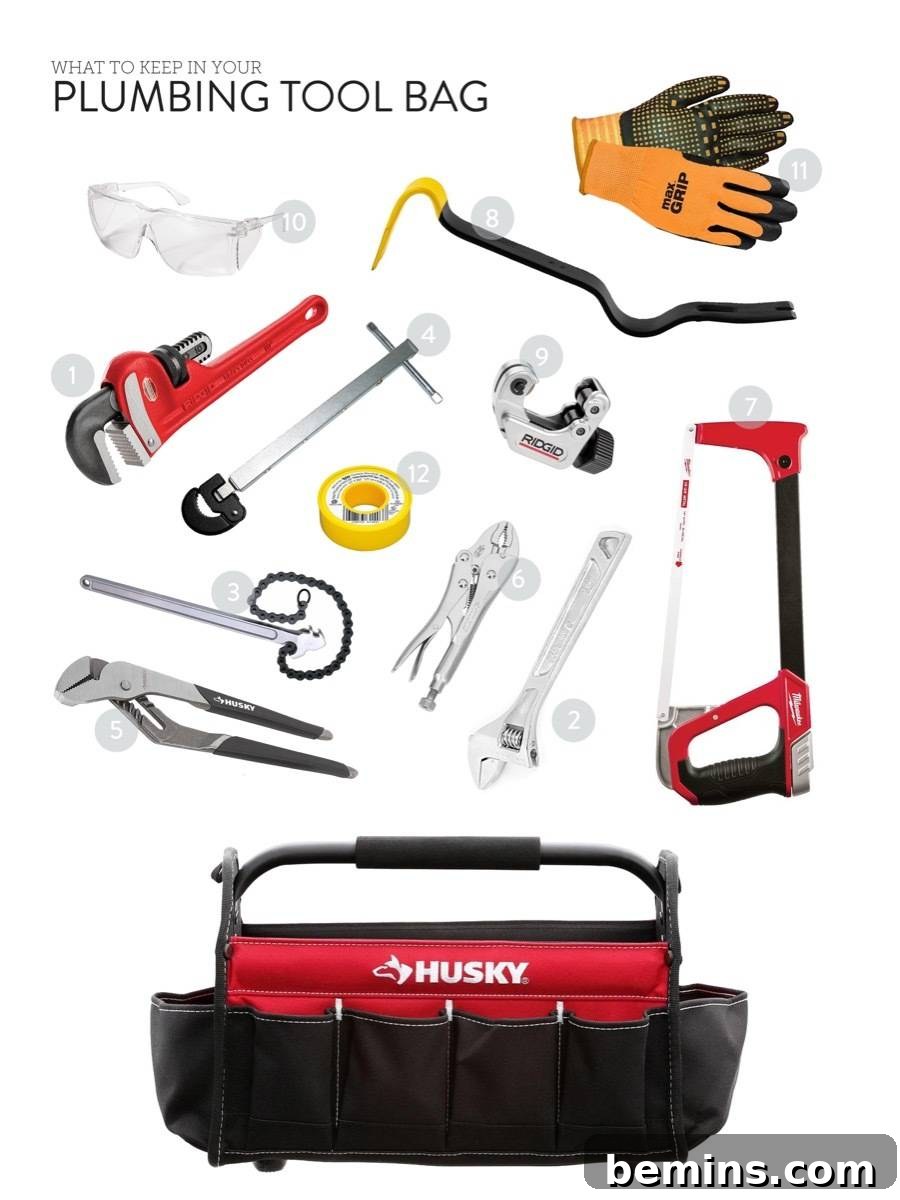 The Plumbing Tool Bag: Addressing Leaks and Fixture Repairs
