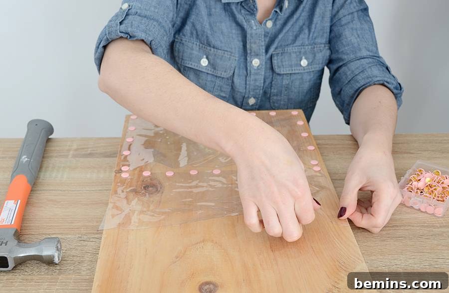 DIY Clear Pocket Wall Organizer
