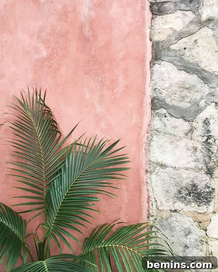 19 Instagram Accounts for a Clean & Minimalist Aesthetic 15 CarleysCamera Minimalist Instagram Account