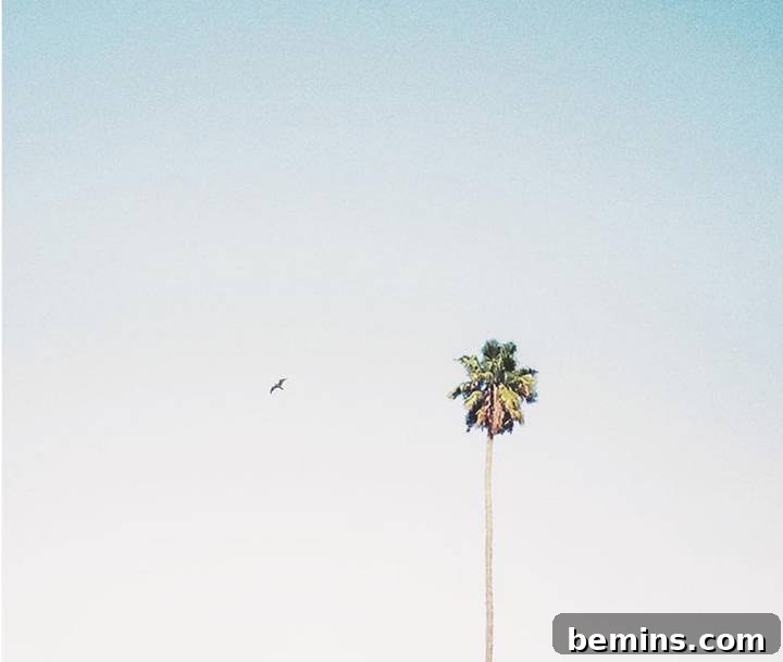 19 Instagram Accounts for a Clean & Minimalist Aesthetic 6 eliaskrepo Minimalist Instagram Account