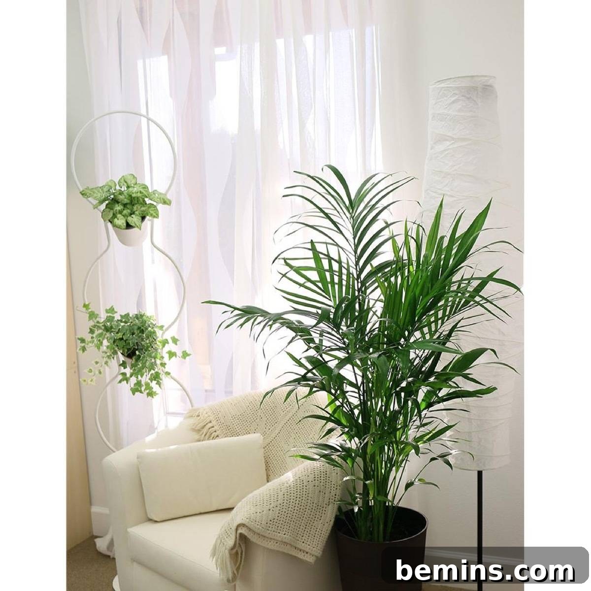 Your Dream Garden, Delivered: The Magic of Online Houseplant Shopping 8 Do your houseplant shopping online: The Home Depot