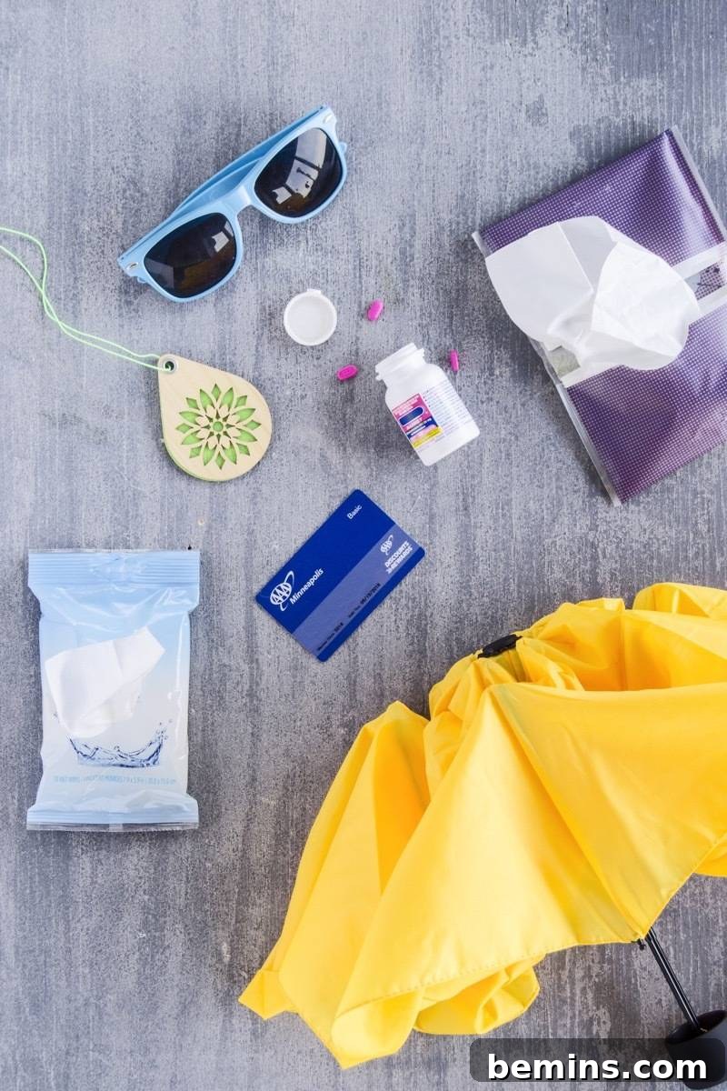 Spring car essentials kit