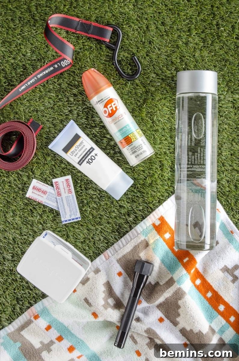 Summer car essentials kit