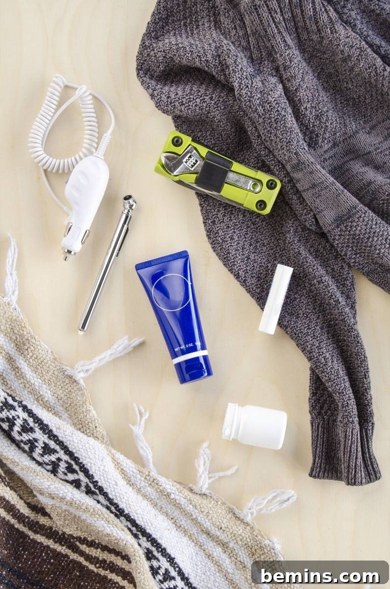 Fall car essentials kit
