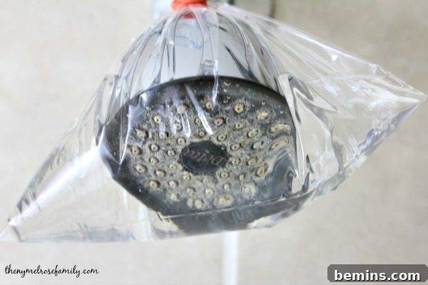 Ultimate Home Cleaning Guide: Room-by-Room Secrets 13 Showerhead soaking in a plastic bag filled with vinegar and essential oils.
