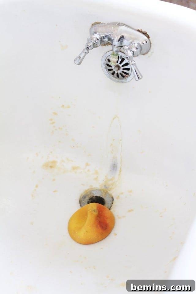 Ultimate Home Cleaning Guide: Room-by-Room Secrets 16 Lemon peel near a bathtub drain.
