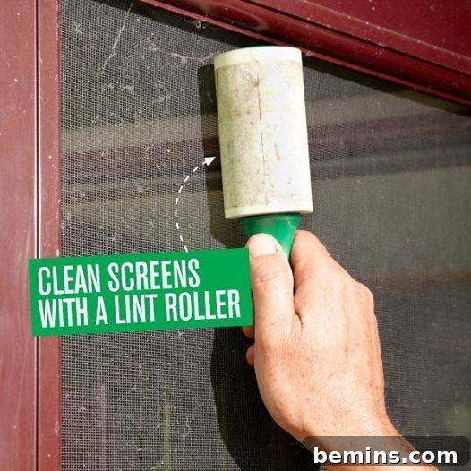 Ultimate Home Cleaning Guide: Room-by-Room Secrets 4 Man using a lint roller to clean a screen door.