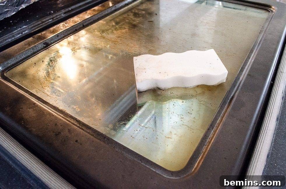 Ultimate Home Cleaning Guide: Room-by-Room Secrets 9 Sponge on an open oven door.