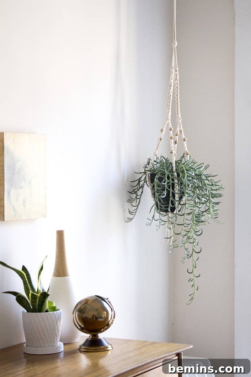Not Macrame: A Fresh Take on DIY Plant Hangers 17 Another view of the finished crochet plant hanger