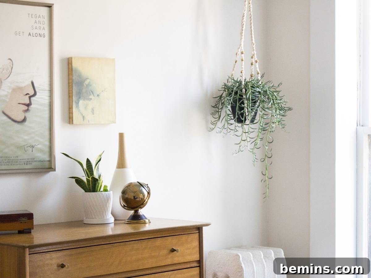 Not Macrame: A Fresh Take on DIY Plant Hangers 3 Close-up of a finished DIY crochet plant hanger
