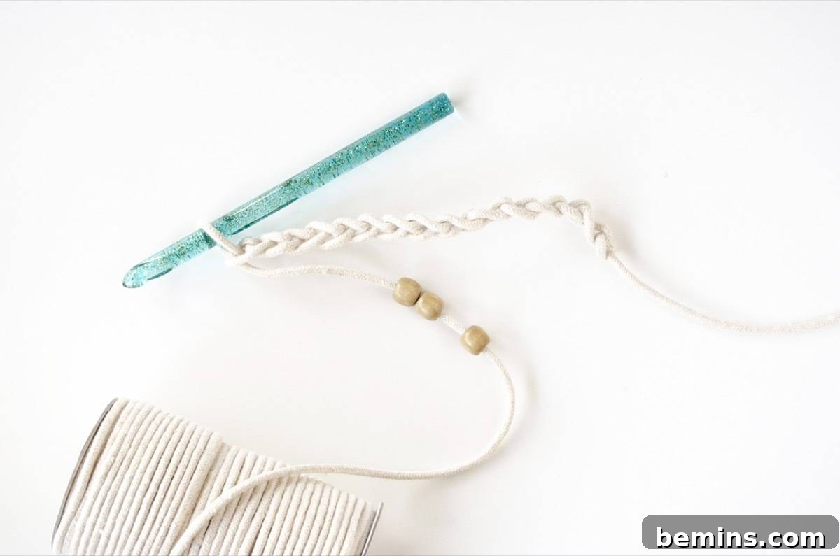 Not Macrame: A Fresh Take on DIY Plant Hangers 9 Chain of 14 stitches completed on the macrame cord