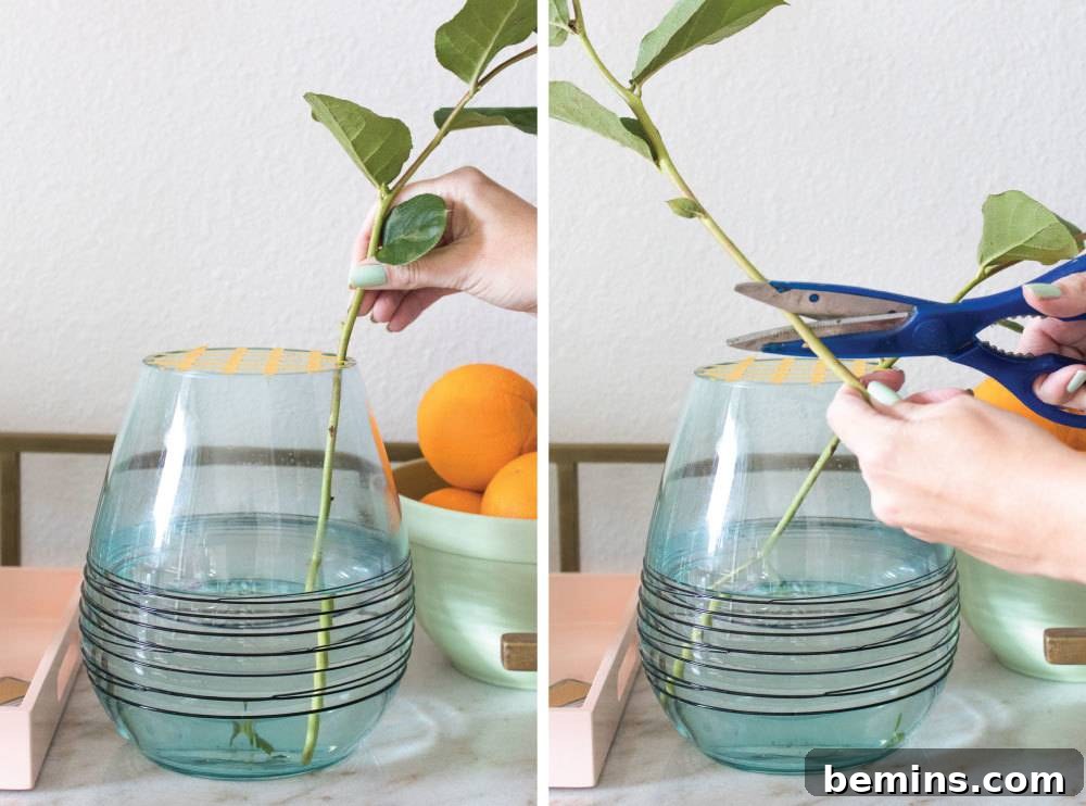 Turning Everyday Grocery Store Flowers into Stunning Floral Art 5 Adding greenery to the vase.