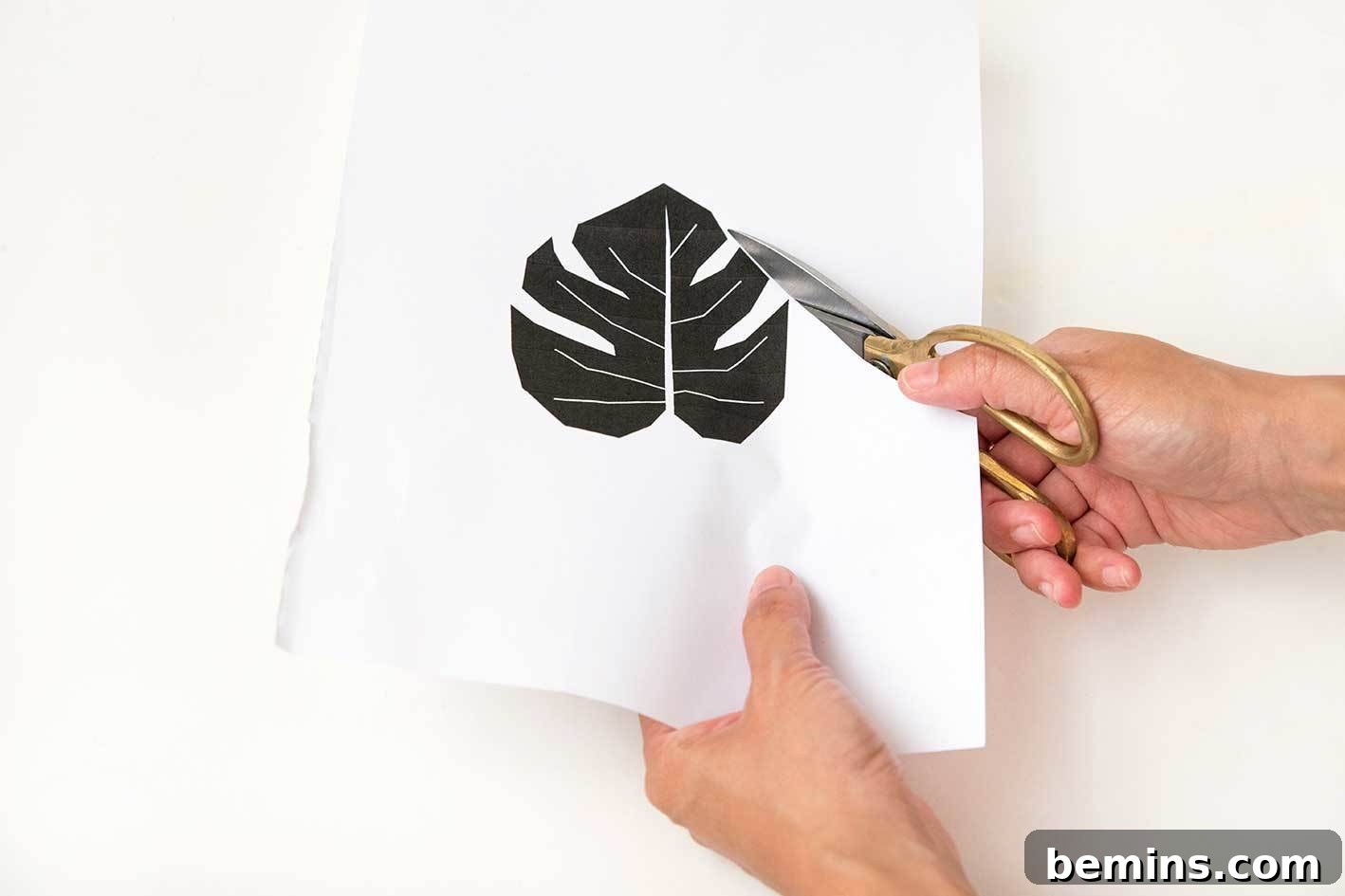 Preparing the tropical leaf template for lino cutting.