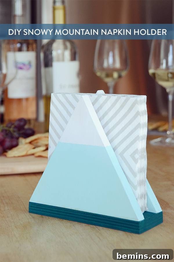 DIY Napkin Holder on Pinterest