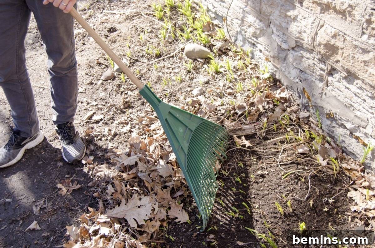 Backyard Bliss: Spring Awakening for Your Outdoor Oasis 3 Preparing Your Backyard After Winter: Revitalizing Perennials