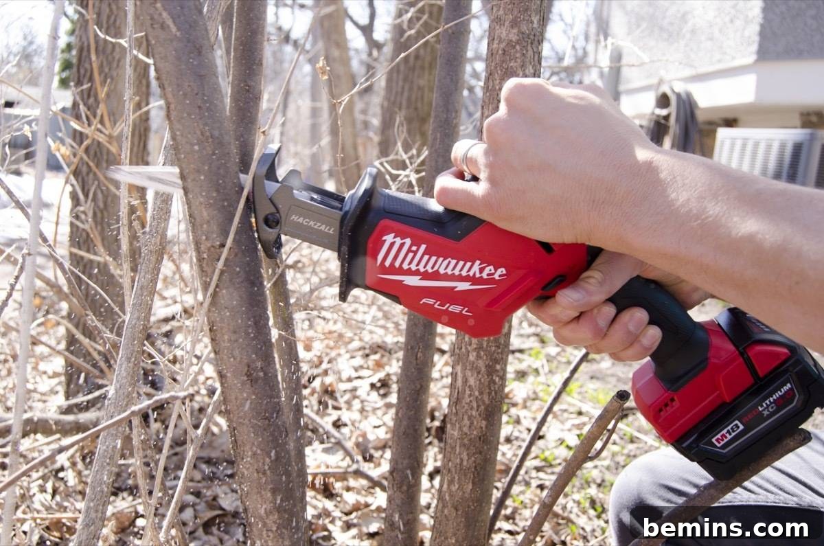 Backyard Bliss: Spring Awakening for Your Outdoor Oasis 4 Early Spring Pruning: Encouraging Healthy Growth