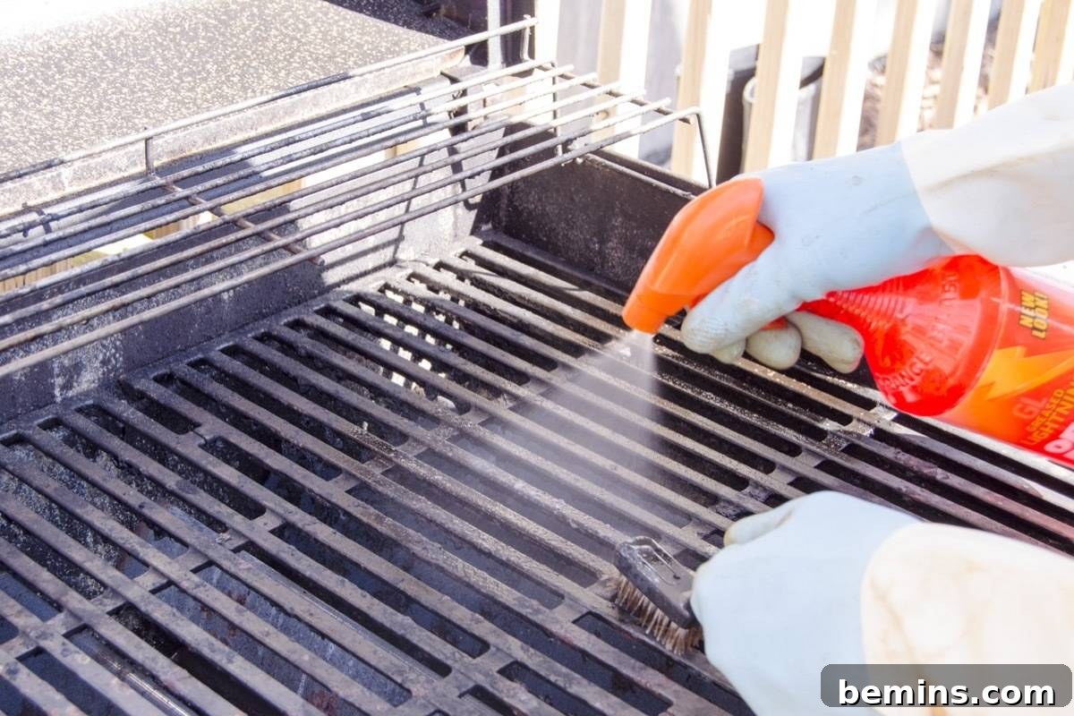 Backyard Bliss: Spring Awakening for Your Outdoor Oasis 6 Preparing Your Backyard for Summer: Cleaning Your Grill