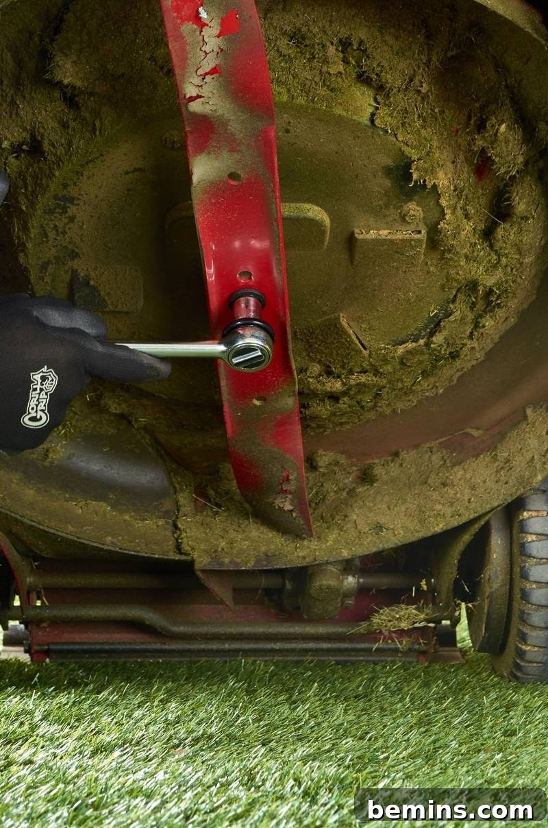Backyard Bliss: Spring Awakening for Your Outdoor Oasis 7 Lawnmower Blade Maintenance