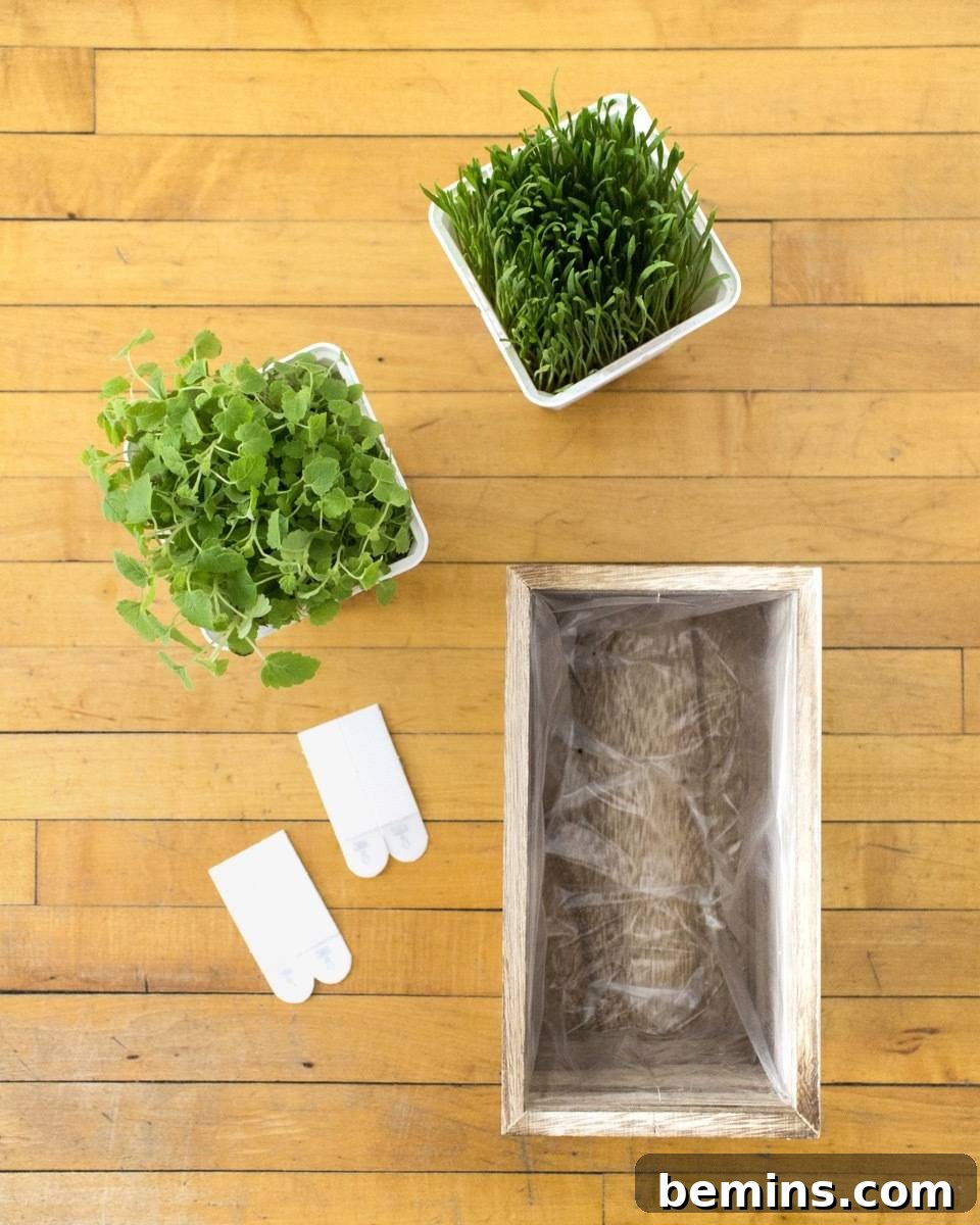 Materials for Indoor Cat Grass Garden