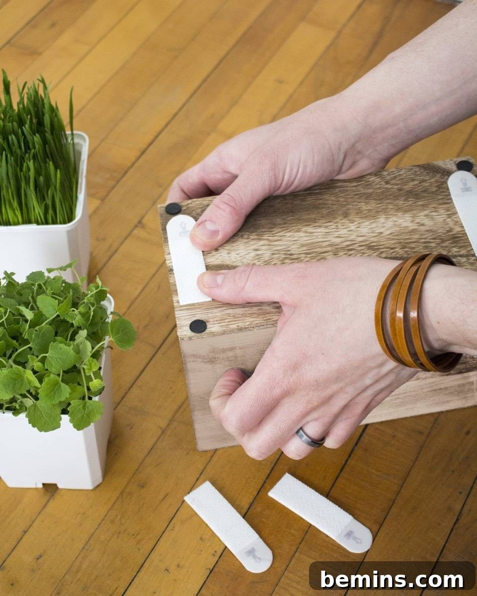 Securing Cat Grass Planter Box
