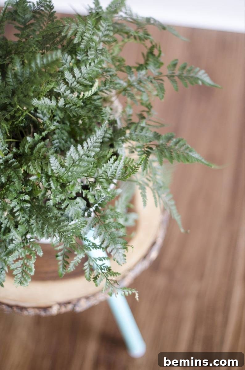 Easy DIY plant stand project