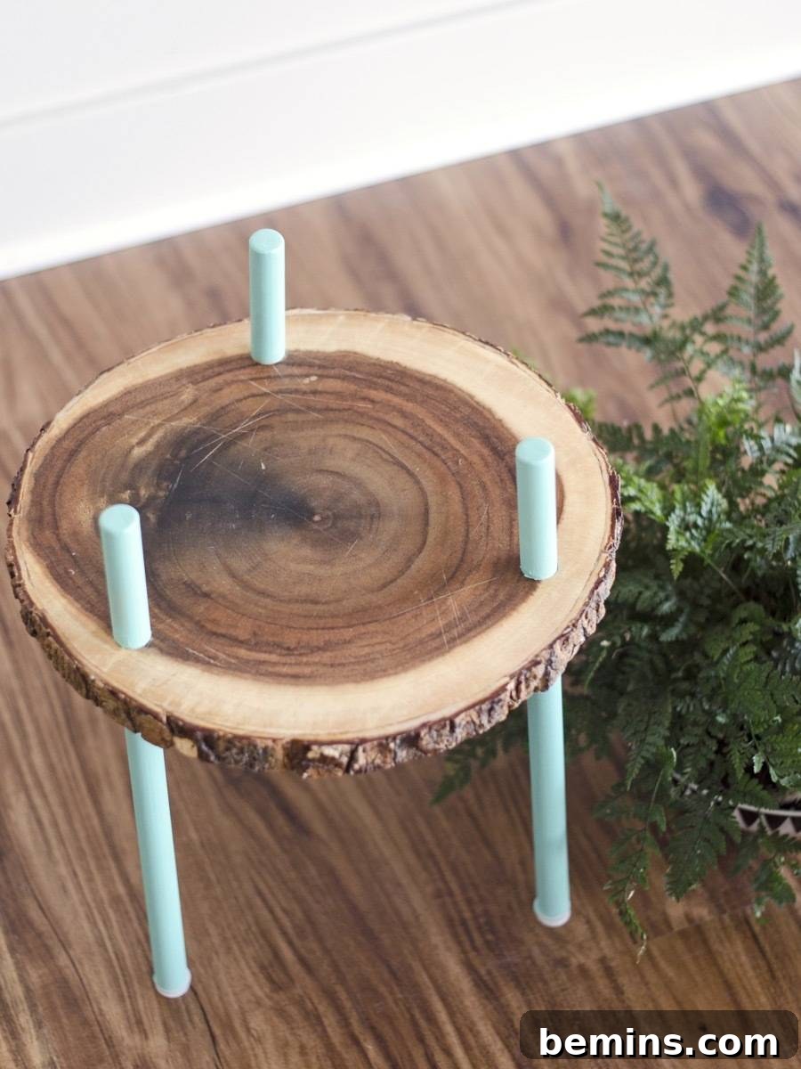 Quick plant stand in under 30 minutes!