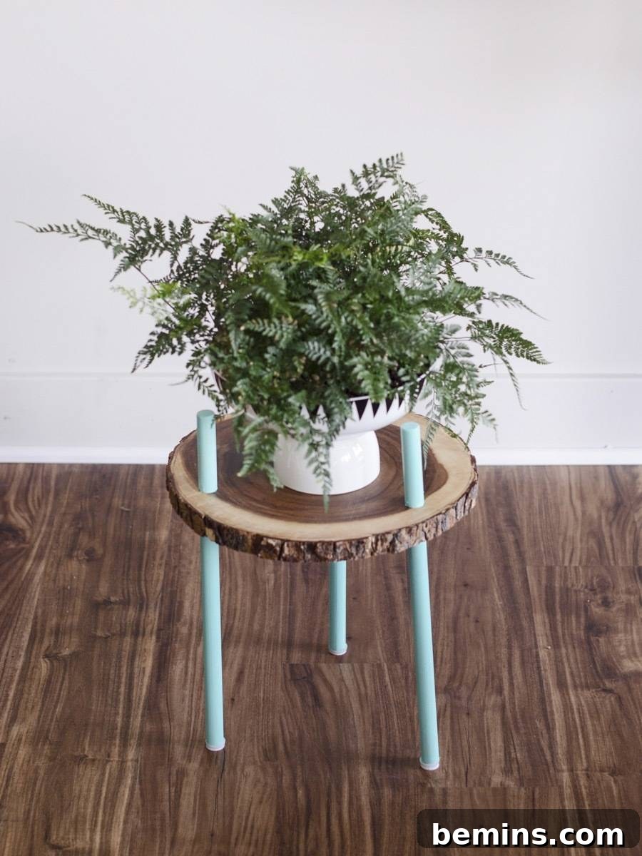 Finished DIY plant stand