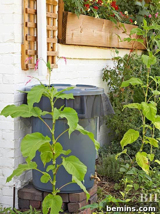 DIY Rain Barrel Irrigation System