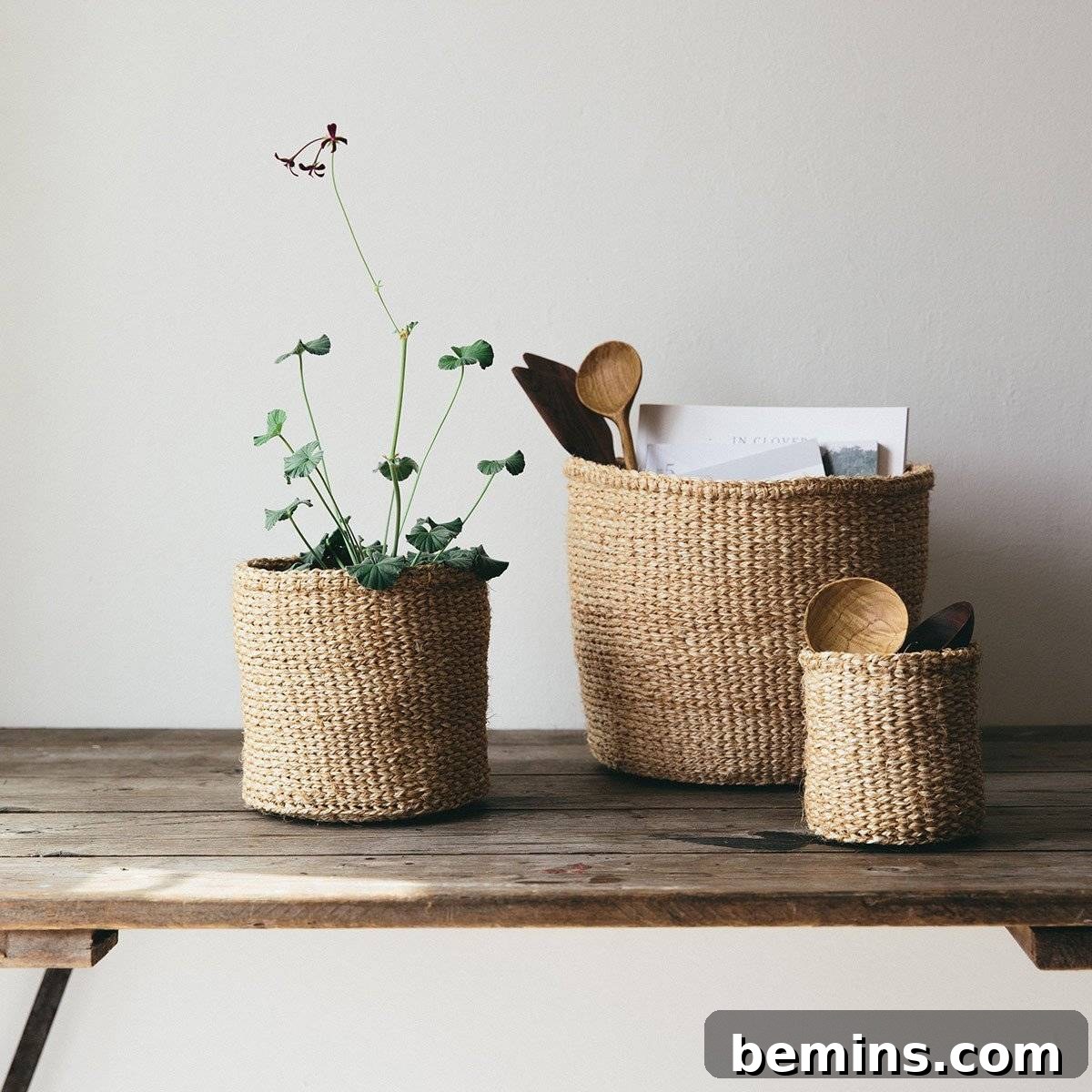 Wabi-Sabi Natural Elements