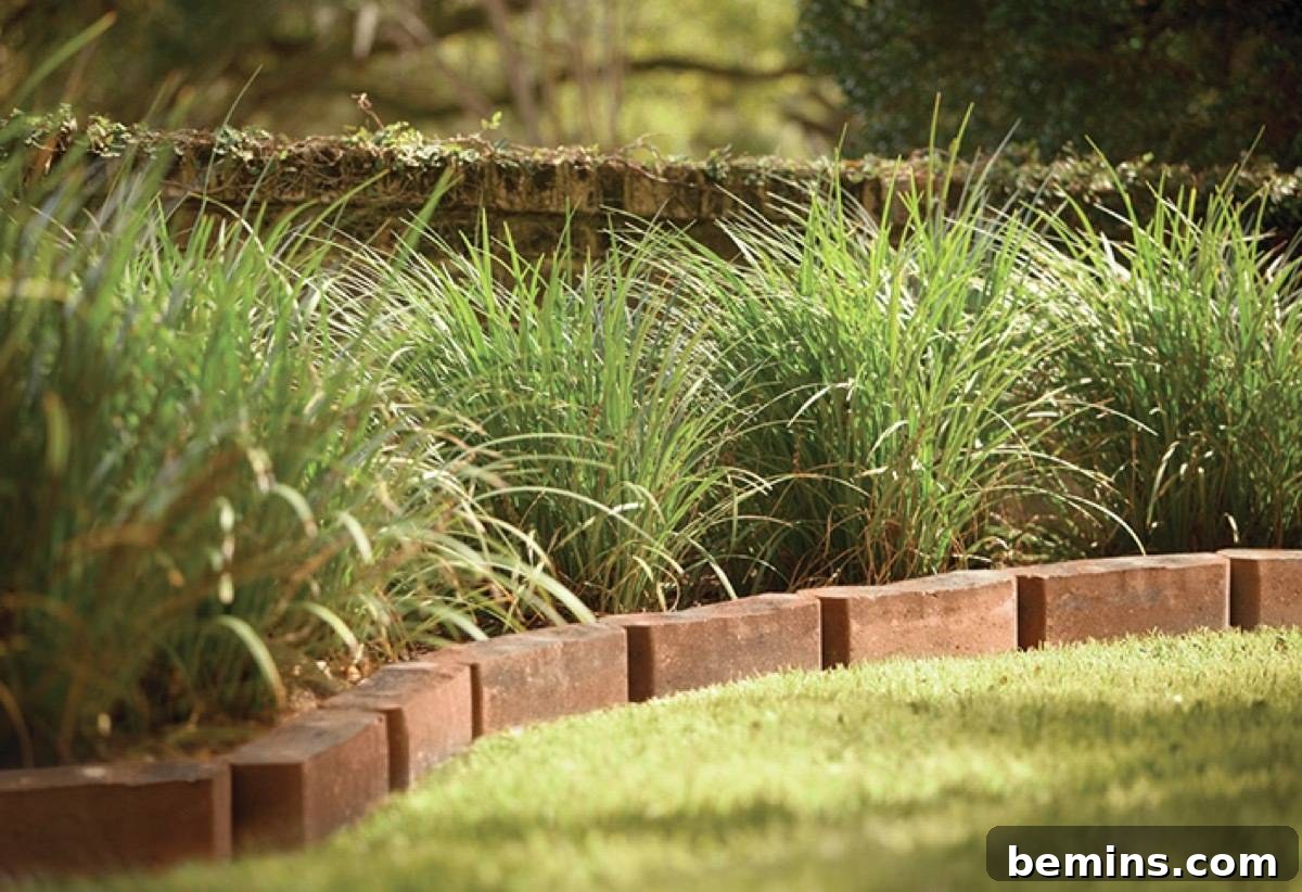 Brick Edging in a Garden