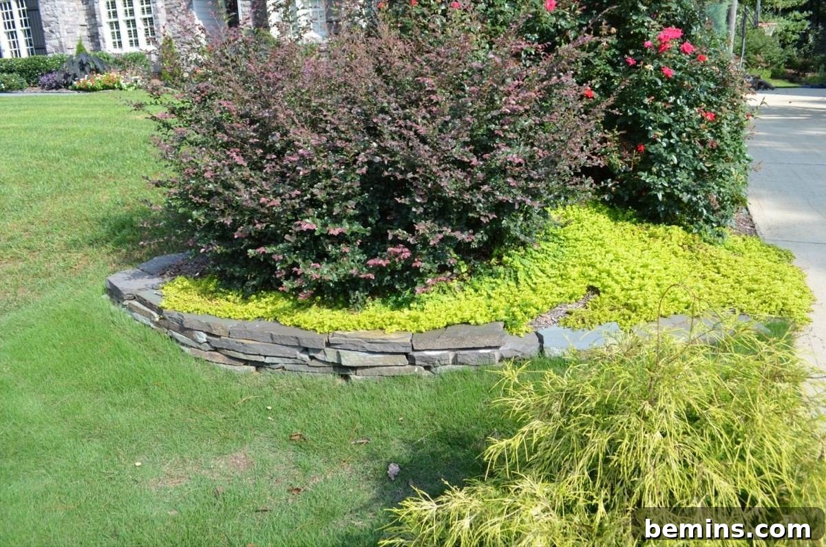 Stone Edging Around Plants
