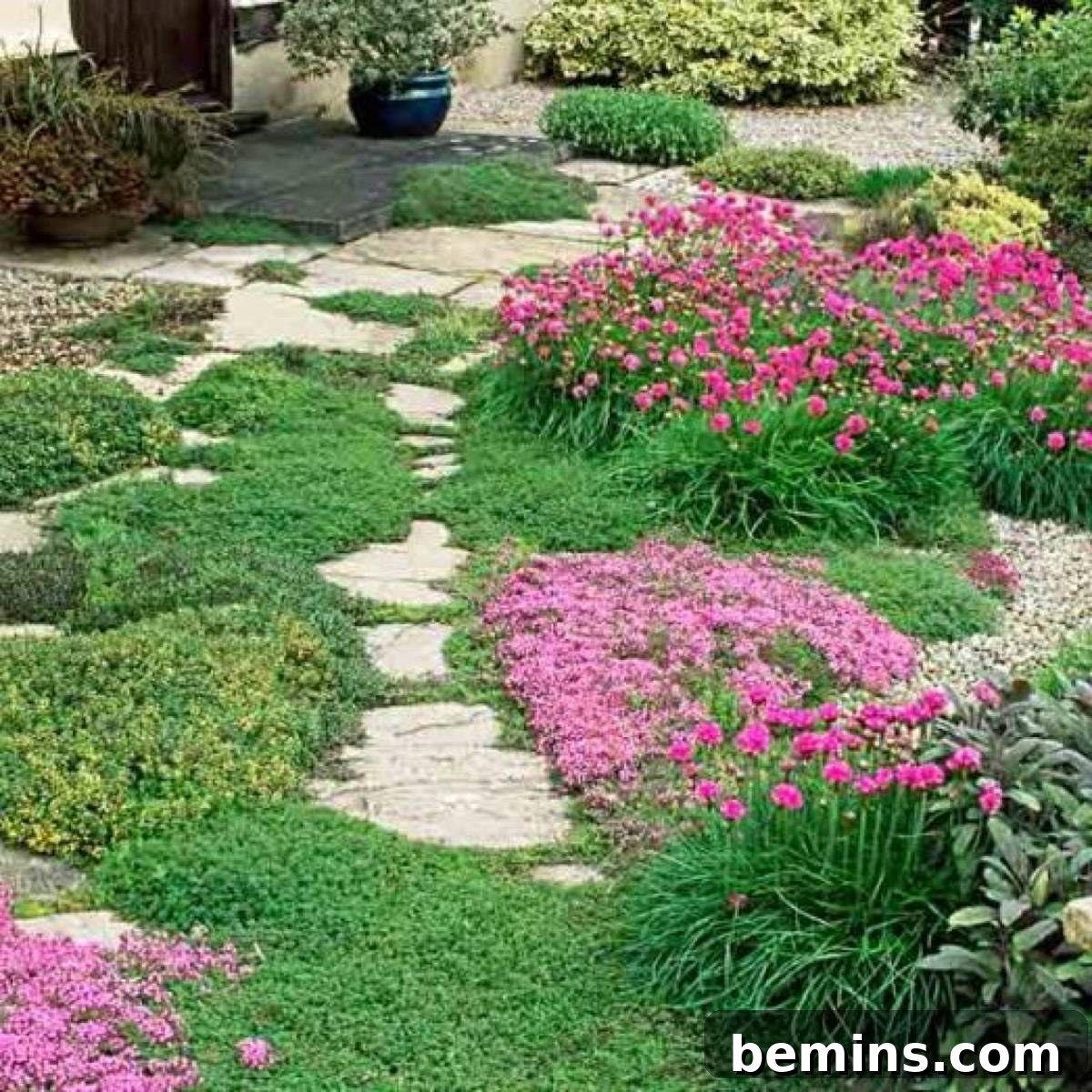 Low Ground Cover Plants