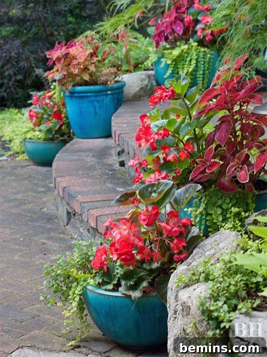 Flowers in Containers Along Steps
