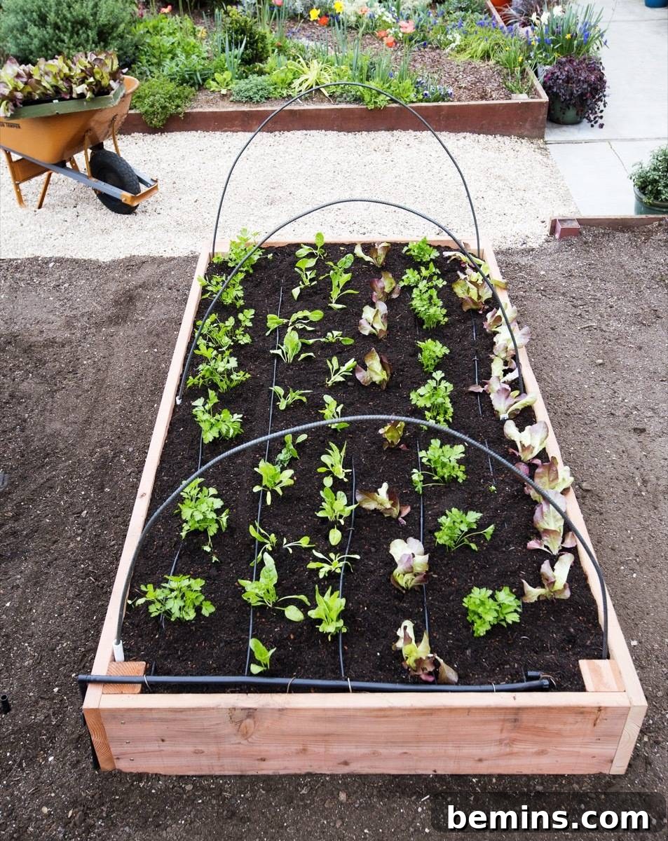 Raised Garden Bed
