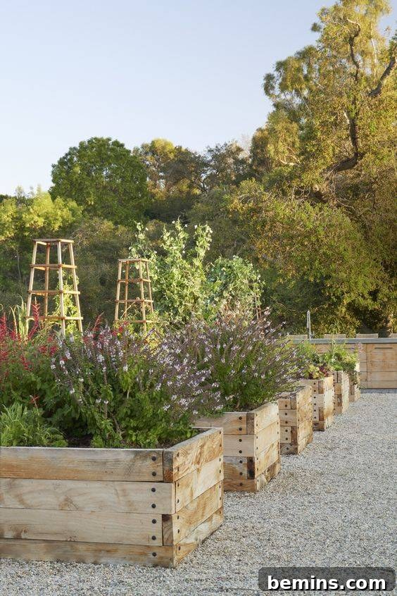 Raised Beds on Gravel