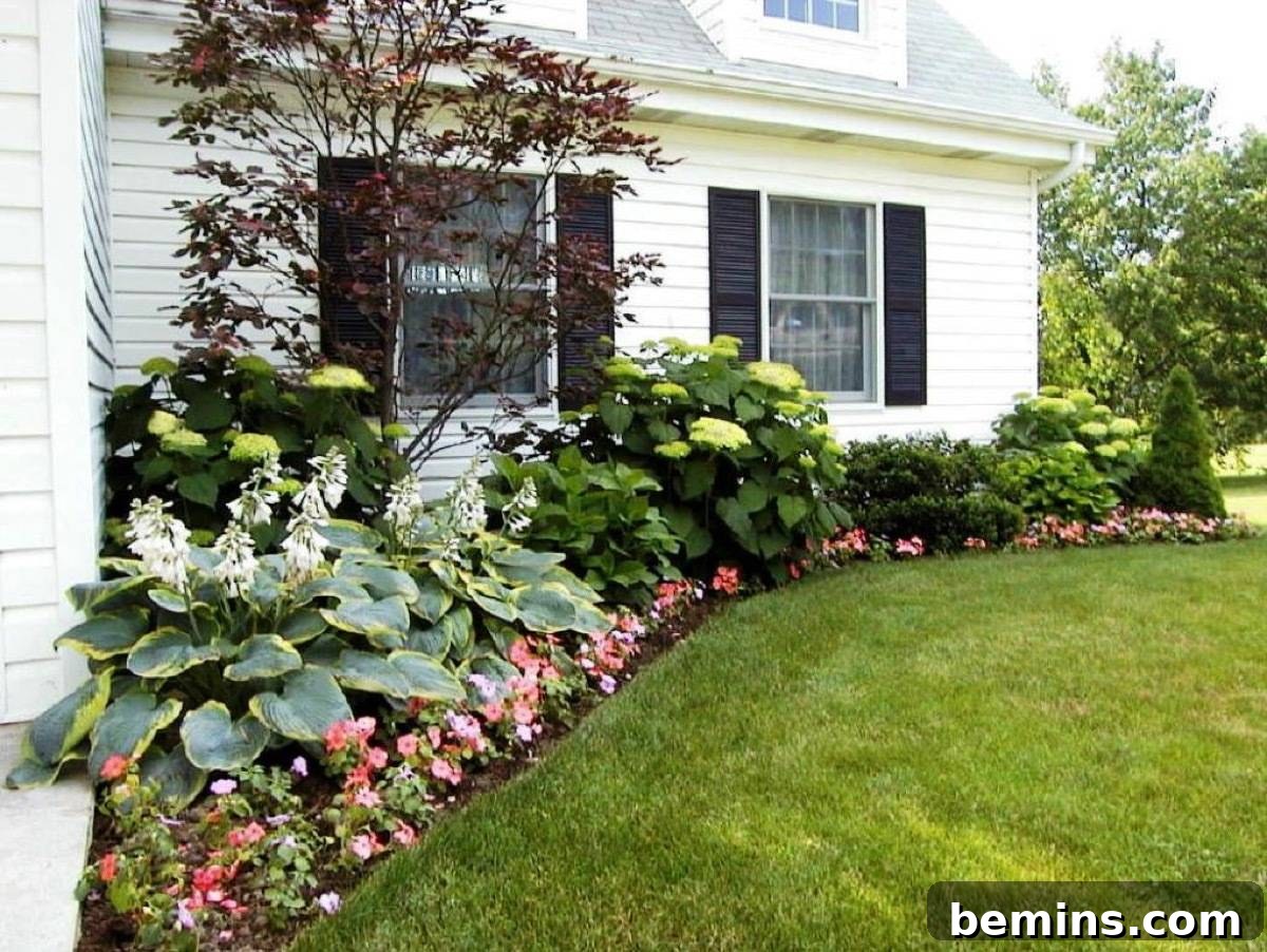 Layered Plants in a Front Yard