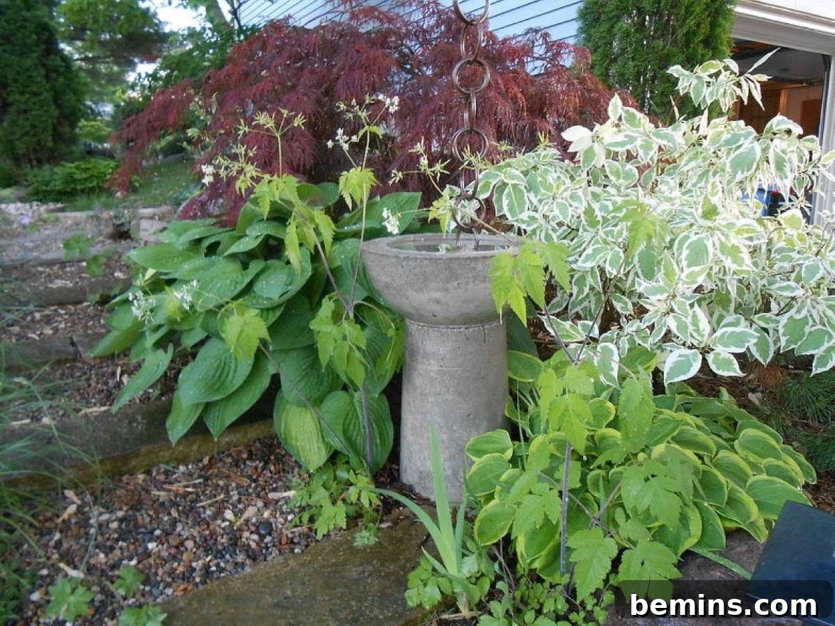 DIY Bird Bath