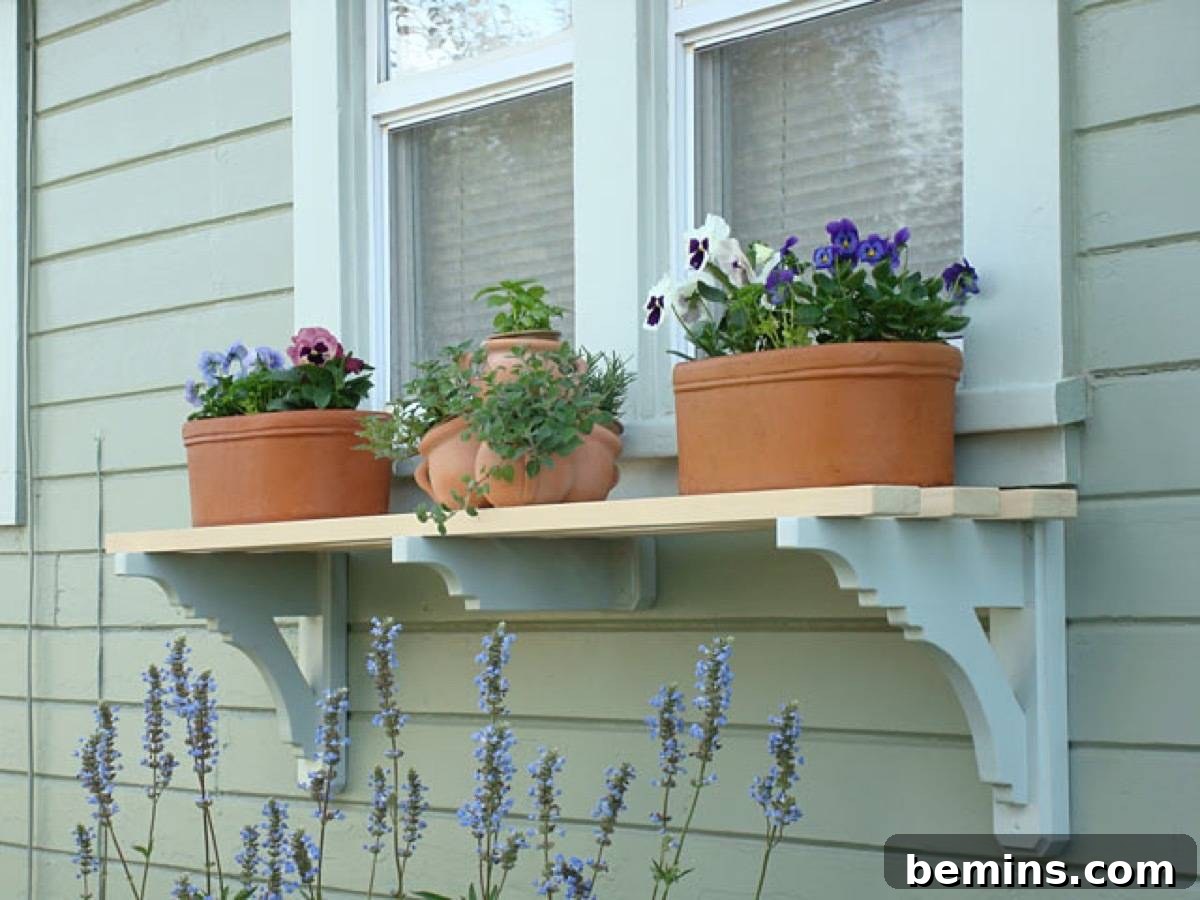 Outdoor Shelving Unit with Plants