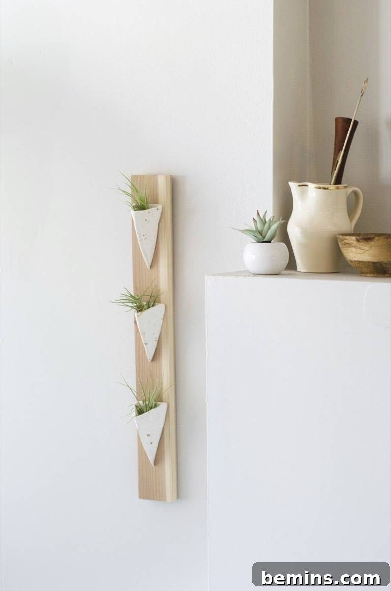 Effortless Floating Air Plant Display 13 Completed DIY project: Wall-mounted air plant holder