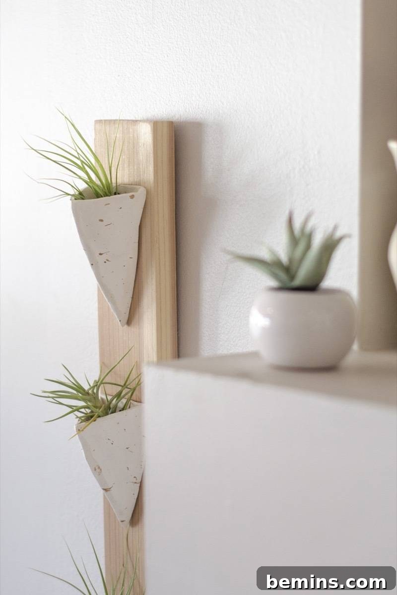 Effortless Floating Air Plant Display 16 Close-up detail of the air plant holder