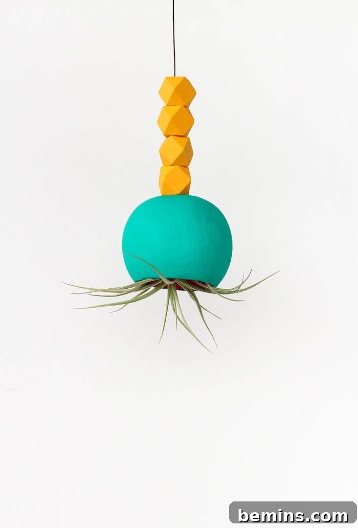 DIY Hanging Air Plant