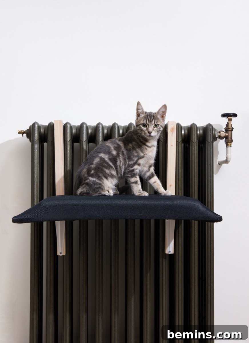DIY Radiator Cat Bed - Keep Your Feline Friend Cozy
