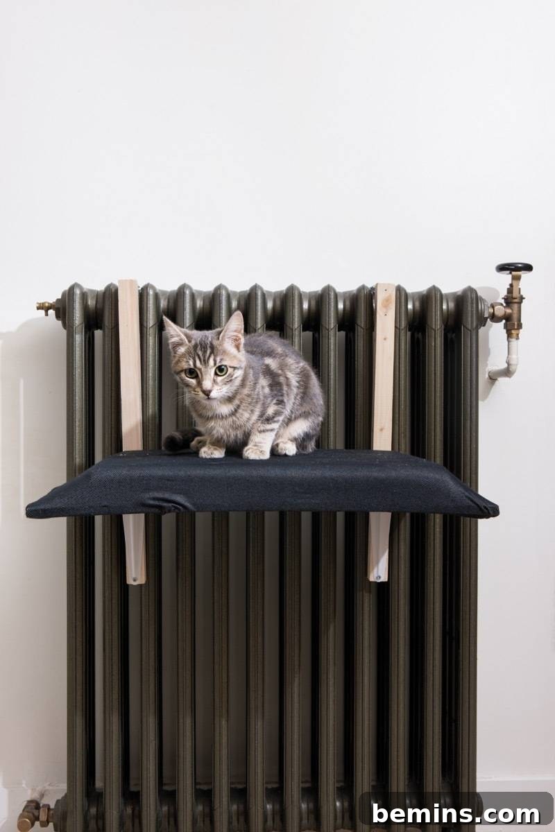 Finished DIY Radiator Cat Bed