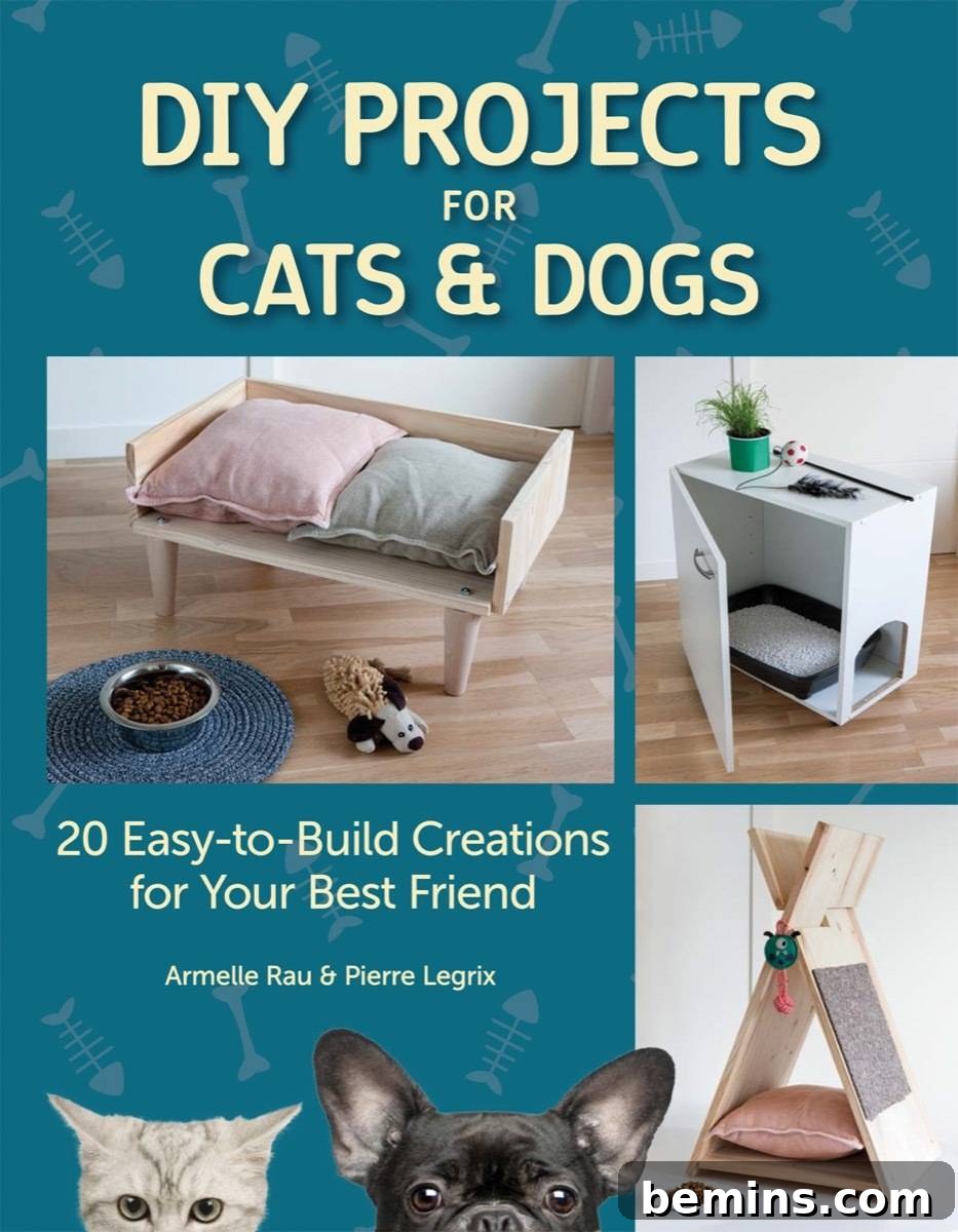 DIY Projects for Cats & Dogs Book Cover