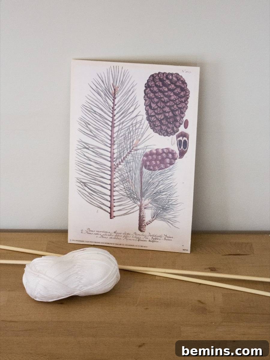 Dowel and String Art: Hanging Prints with a Simple DIY Framing Method