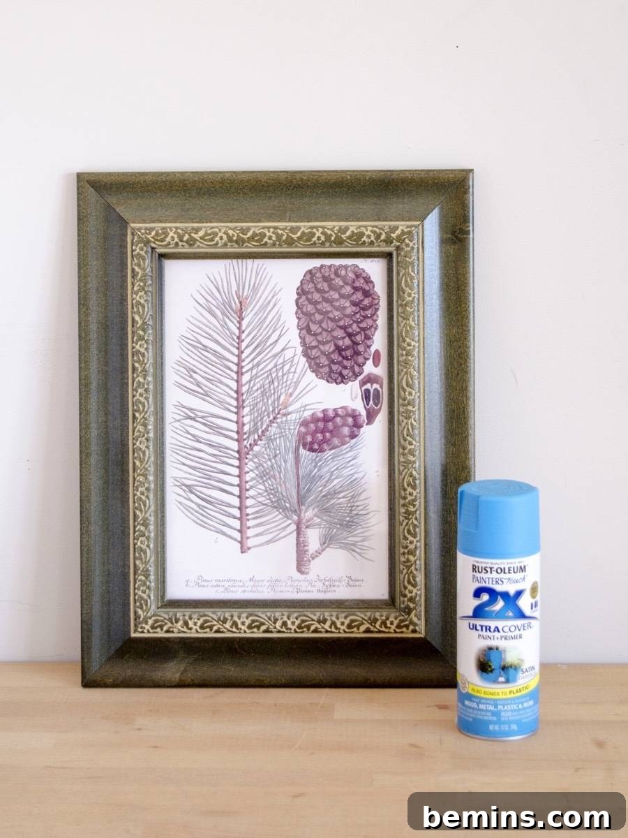 DIY Frame Makeover: Adding Color to Thrifted Art Frames