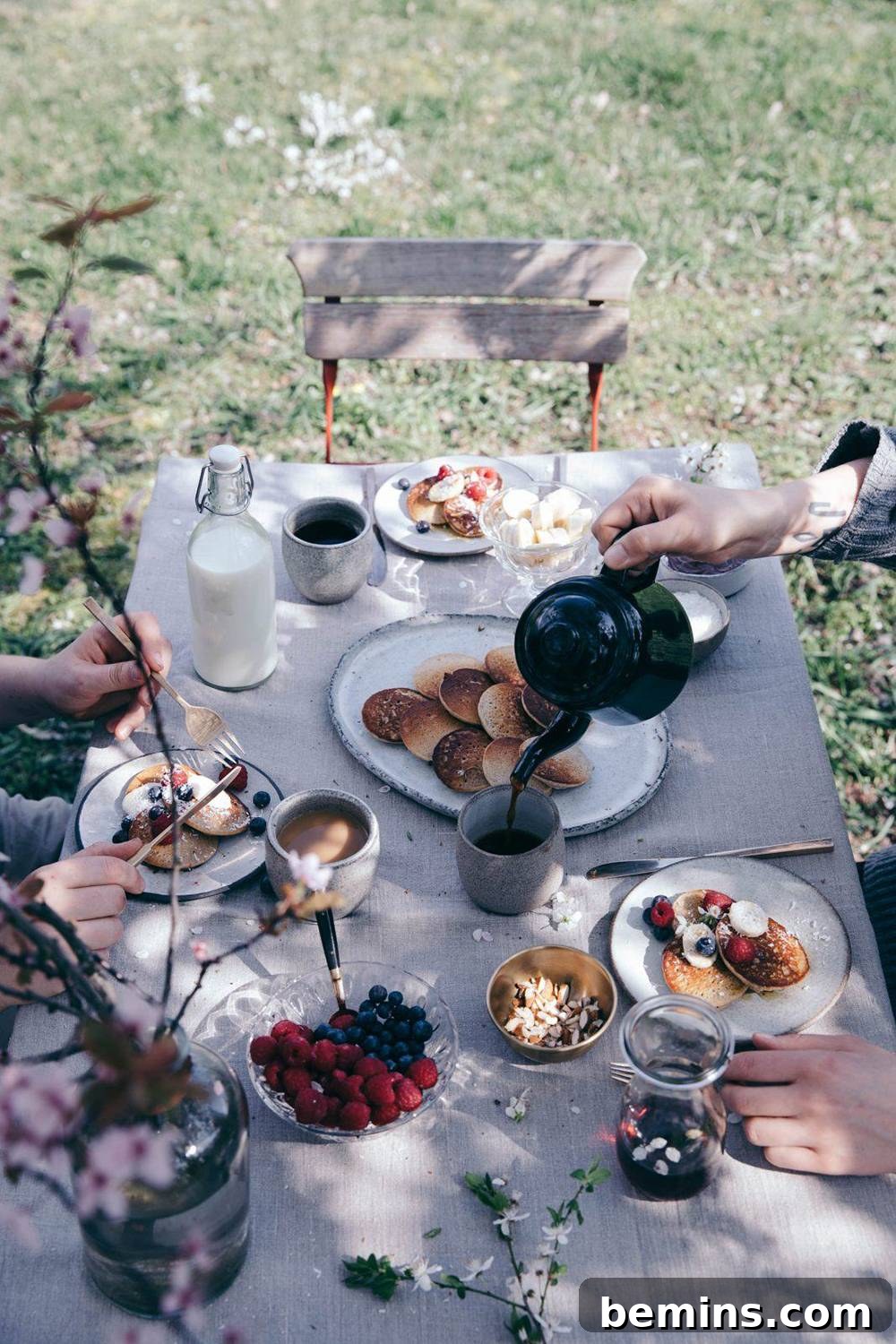Picnic Brunch - A Relaxing Outdoor Meal