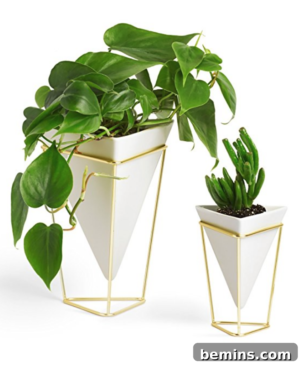 Umbra Trigg Desktop Planter Vase - A Modern Home Decor Gift