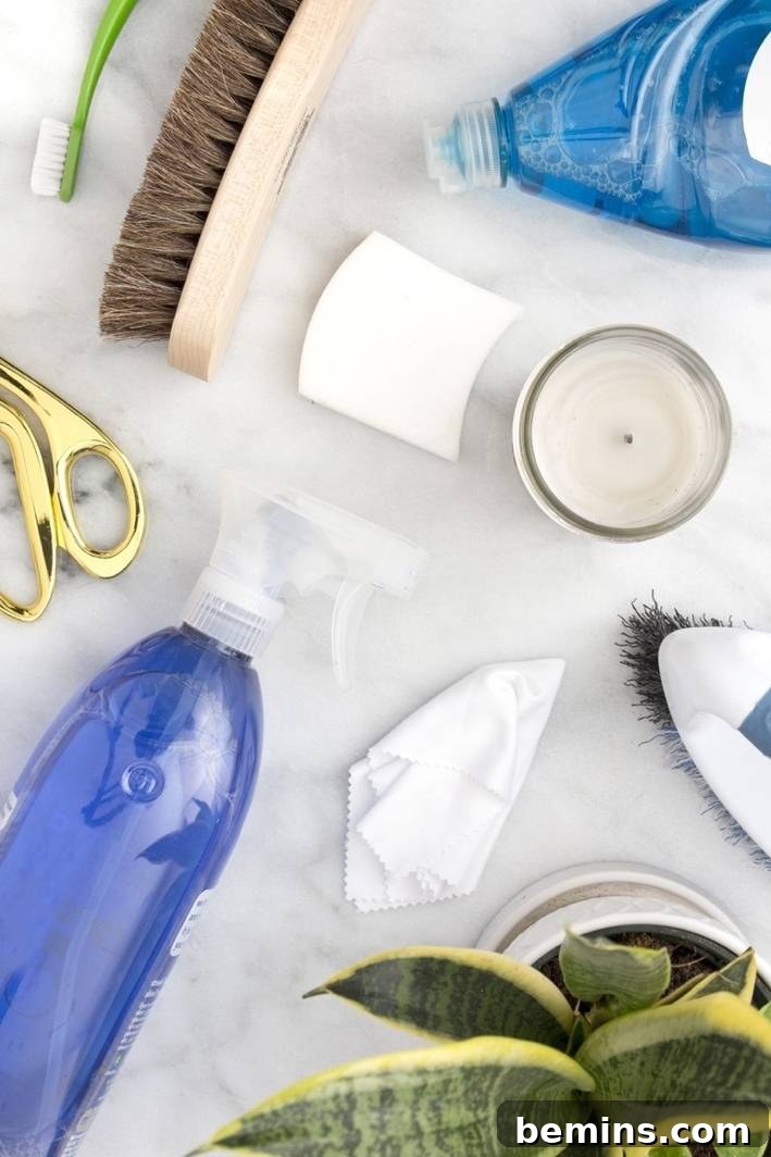 Still life of cleaning supplies and a potted plant on a table.