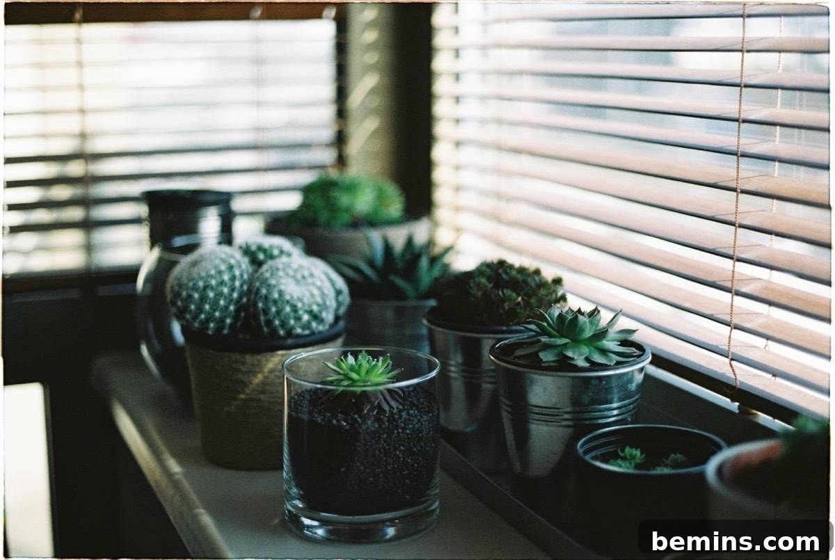 19 Pre-Vacation Tasks for a Stress-Free Summer Getaway 4 Healthy Plants: Ensure They're Watered Before Vacation